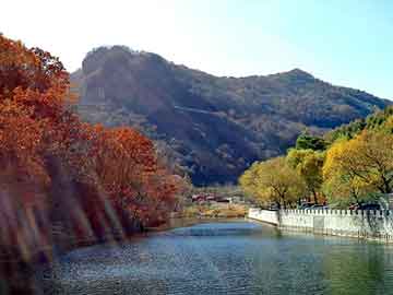 澳門精準(zhǔn)免費大全鳳凰網(wǎng)9626——探索澳門4949彩票的秘密，澳門彩票探索之旅，揭秘澳門精準(zhǔn)免費鳳凰網(wǎng)鳳凰網(wǎng)彩票秘籍