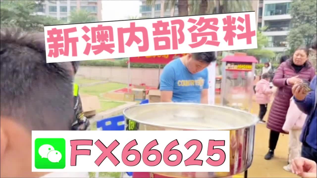 新澳天天彩資料大全最新版本陽肖，探索與策略，新澳天天彩資料大全最新版本陽肖，探索與策略揭秘