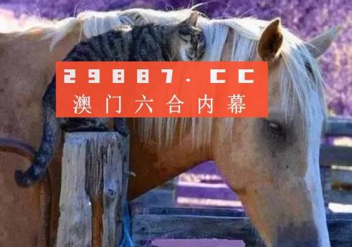 澳門一肖一碼一待一中四不像，探索與解析，澳門一肖一碼一待一中四不像，深度解析與探索