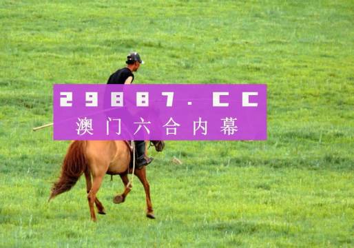 澳門鐵算資料開獎(jiǎng)小說，揭秘?cái)?shù)字背后的故事，澳門鐵算資料開獎(jiǎng)揭秘，數(shù)字背后的故事