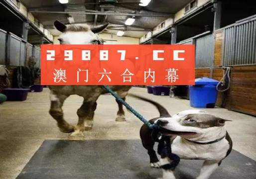 澳門一肖一碼一必中一肖，同舟前進的奧秘與策略，澳門一肖一碼必中策略與前進奧秘，同舟共濟的揭秘與策略