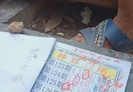 香港中特期期準資料，深度解析與探索，香港中特期期準資料深度解析與探索報告