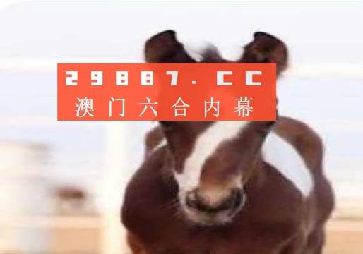 澳門一肖一碼一待一中資料，深度解析與探索，澳門一肖一碼深度解析與探索揭秘資料