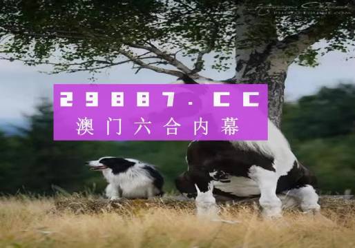 澳門天天空彩官網(wǎng)資料，探索彩票世界的門戶，澳門天天空彩官網(wǎng)資料，彩票世界探索門戶