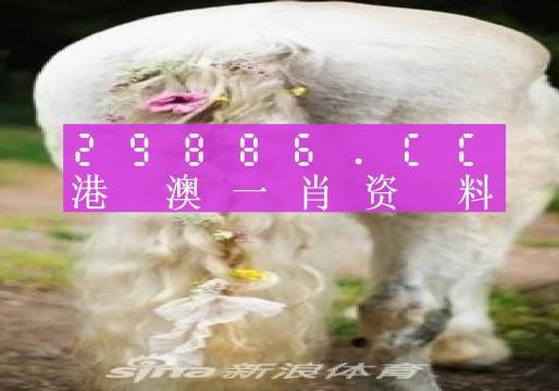 澳門(mén)羊了個(gè)羊與各大圖庫(kù)的資料揭秘，2023年澳門(mén)今晚必中一肖一碼永久免費(fèi)資料庫(kù)大解密，澳門(mén)羊了個(gè)羊與資料庫(kù)揭秘，2023年必中一肖一碼永久免費(fèi)資料大解密