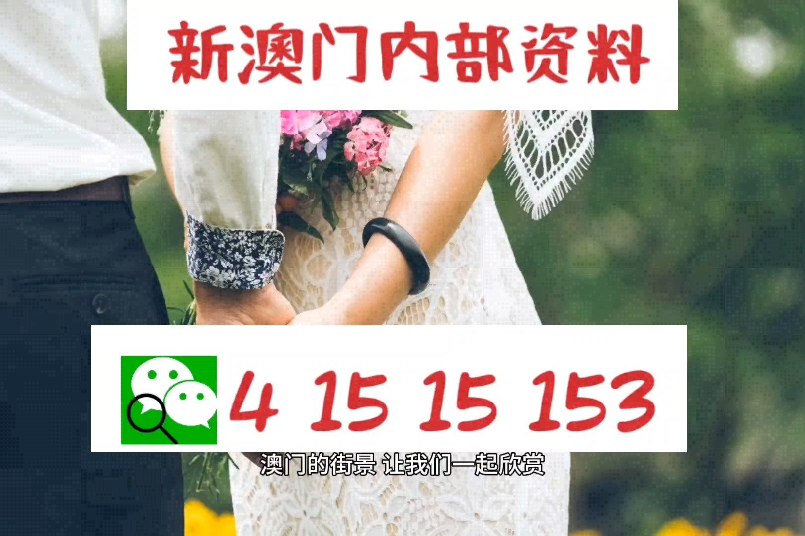 新澳平碼出碼公式，揭秘背后的秘密與策略，揭秘新澳平碼出碼公式，背后的秘密與策略解析