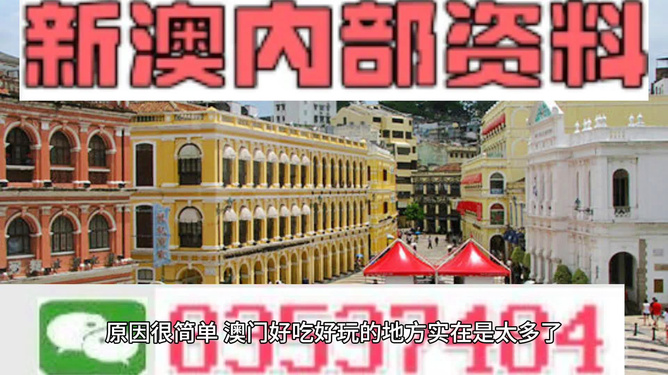 澳門精準資料大全免費，探索與解析，澳門精準資料大全免費解析探索