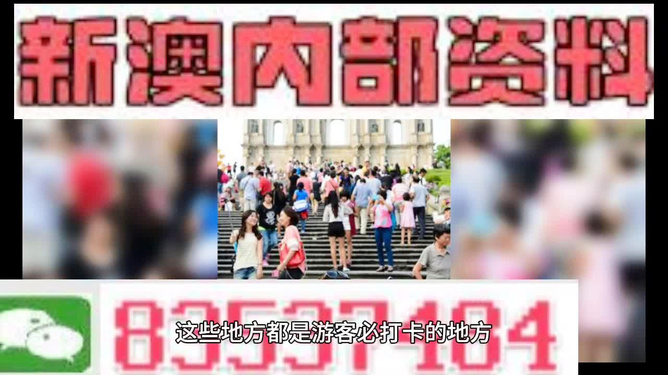 新澳天天開獎(jiǎng)資料大全旅游團(tuán)——探索澳門的魅力之旅，澳門魅力探索之旅，新澳天天開獎(jiǎng)資料大全旅游團(tuán)