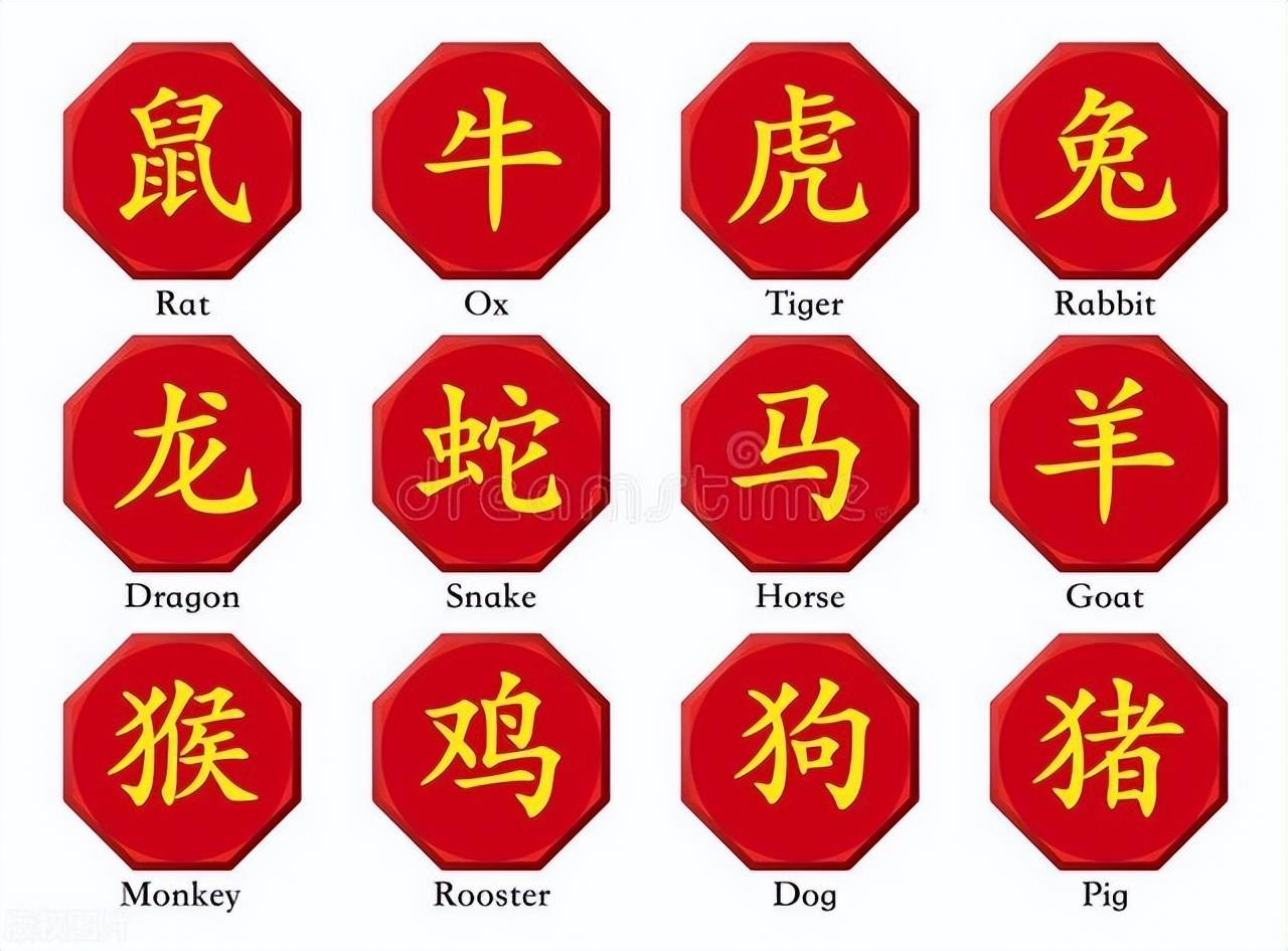 新澳特碼，羊牛虎各數(shù)10——揭秘背后的數(shù)字奧秘，揭秘新澳特碼數(shù)字奧秘，羊?；⒏鲾?shù)背后的秘密