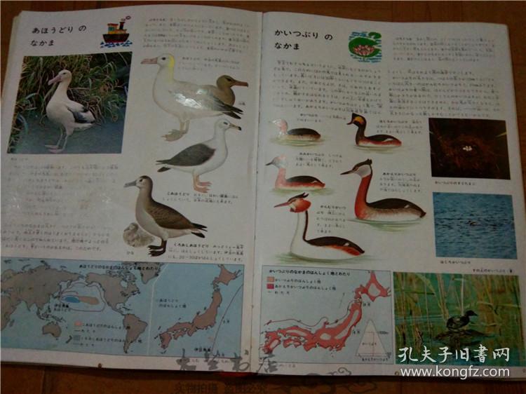今日正版跑狗圖分享，探索7777788888跑狗圖的魅力，今日正版跑狗圖分享，探索魅力十足的777778跑狗圖