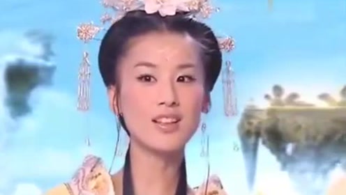 曾道道人資料免費大全，深度探索與解析，曾道道人資料深度解析與免費大全探索