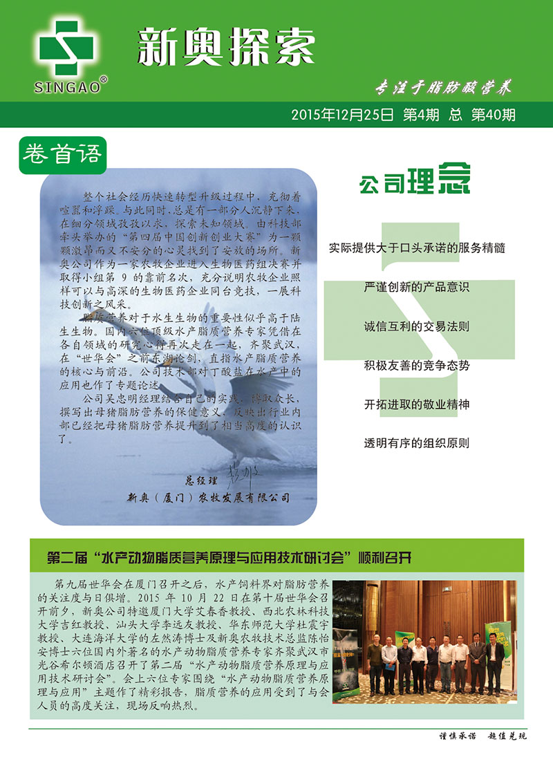 2025新澳正版資料查詢指南，2025新澳正版資料查詢手冊