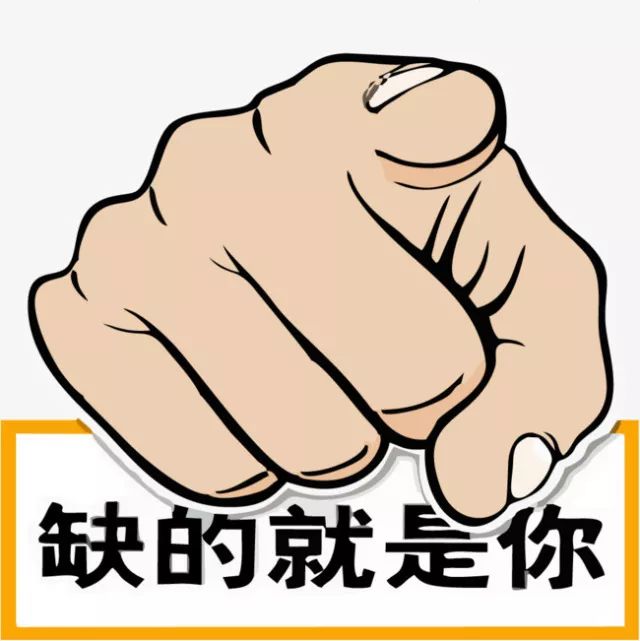 鐵算盤(pán)，全網(wǎng)矚目，傾力打造引領(lǐng)潮流的火熱品牌！，鐵算盤(pán)引領(lǐng)潮流，全網(wǎng)矚目成火熱品牌！