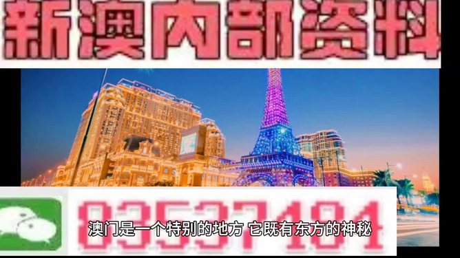 新澳門(mén)精準(zhǔn)800圖庫(kù)，探索與解析，新澳門(mén)精準(zhǔn)800圖庫(kù)，深入探索與詳細(xì)解析