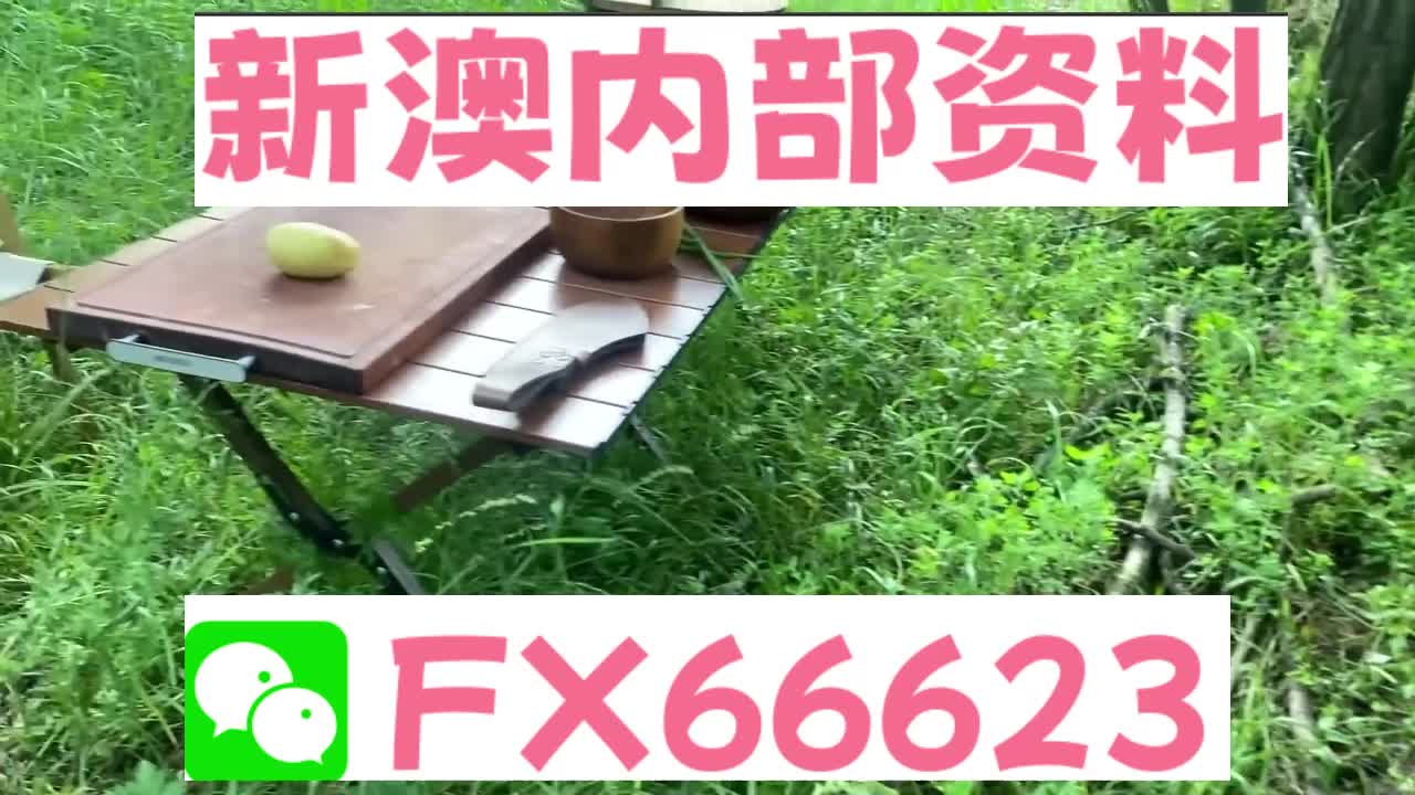 新奧特碼走勢(shì)圖解析與預(yù)測(cè)，新奧特碼走勢(shì)圖解析與預(yù)測(cè)，未來(lái)趨勢(shì)探討