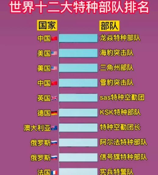 中國十大王牌特種部隊(duì)，實(shí)力與榮耀的象征，中國十大王牌特種部隊(duì)，實(shí)力與榮耀的巔峰標(biāo)志