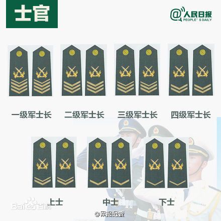 全球各國軍士長軍銜對(duì)照表及其重要性，全球各國軍士長軍銜對(duì)照表，揭示其重要性