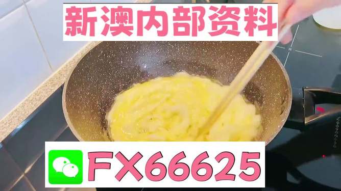 澳門九點(diǎn)半9點(diǎn)半網(wǎng)站——探索與體驗(yàn)，澳門九點(diǎn)半網(wǎng)站，探索與體驗(yàn)之旅