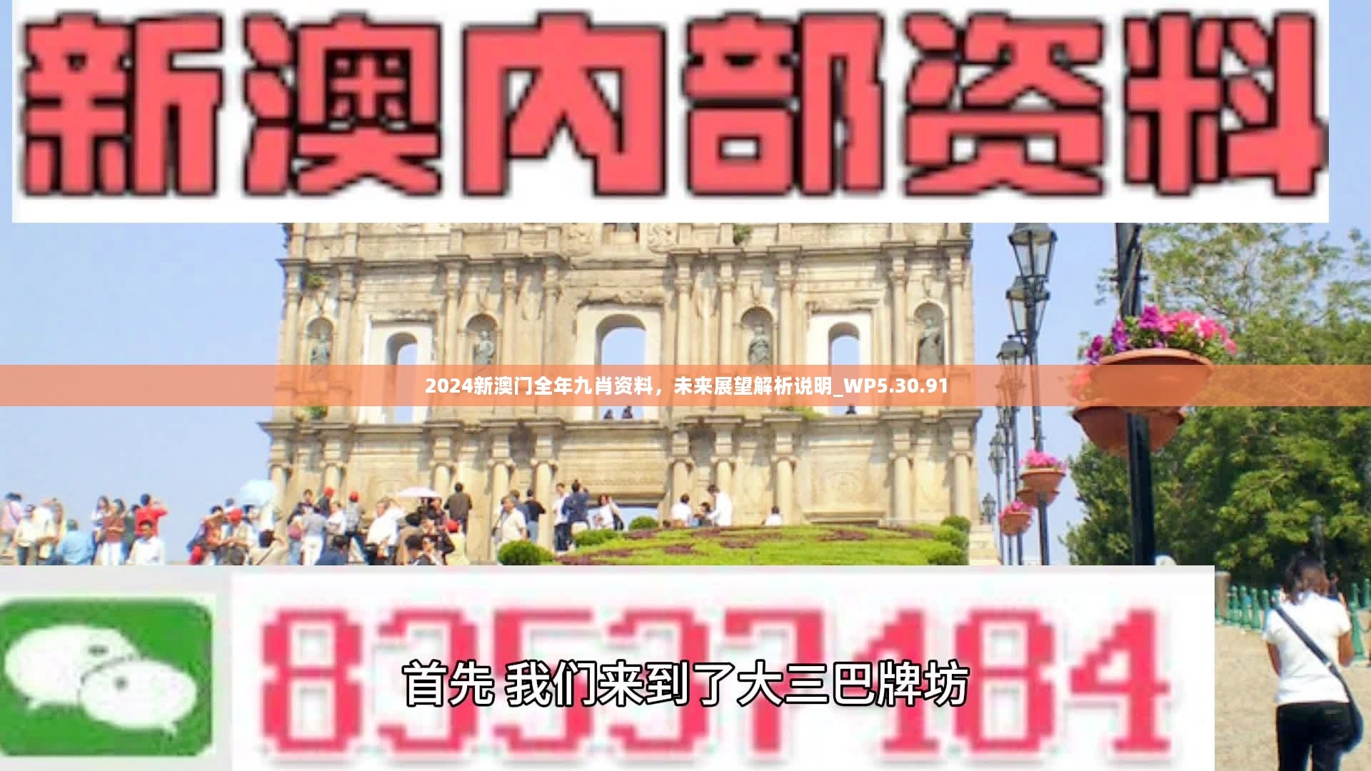 新澳門精準九肖，揭秘預測技巧與策略，揭秘新澳門精準九肖預測技巧與策略