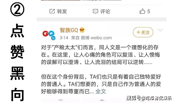 背后的秘密與策略之道