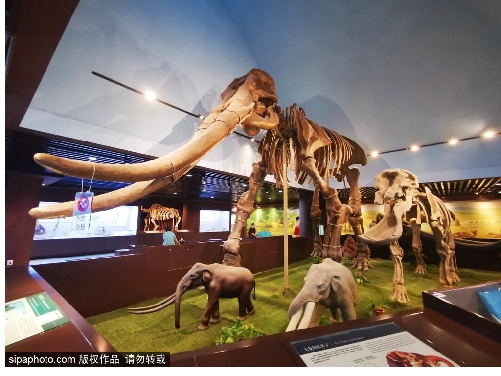 北京必去的十大博物館——探尋千年文化的精華之旅，北京必游十大博物館，千年文化精華之旅探尋記