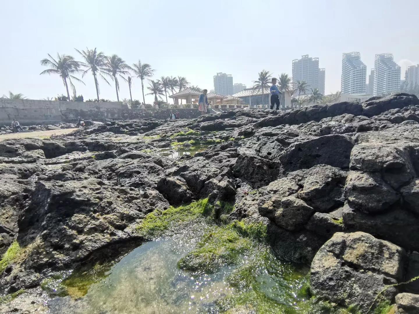 解放海南島電視劇全集下載，探尋30集完整劇情，解放海南島電視劇全集下載，探尋完整的30集劇情探索