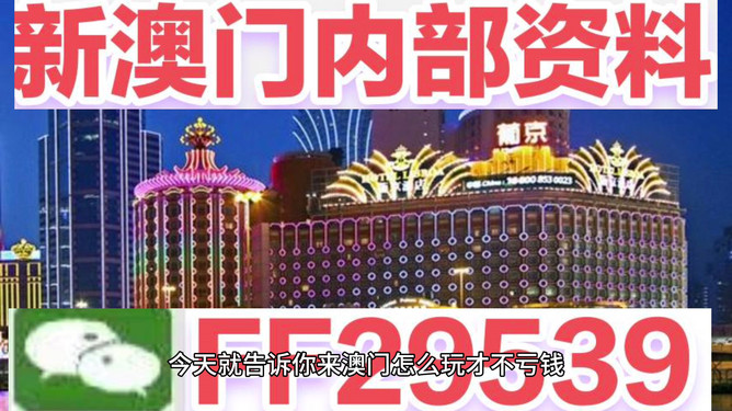 澳門今晚必開一肖——揭秘生肖彩票的魅力與策略，澳門生肖彩票揭秘，策略與魅力探索