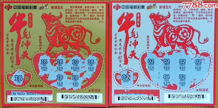 王中王生肖論壇一肖中的奧秘與探討，王中王生肖論壇揭秘一肖奧秘