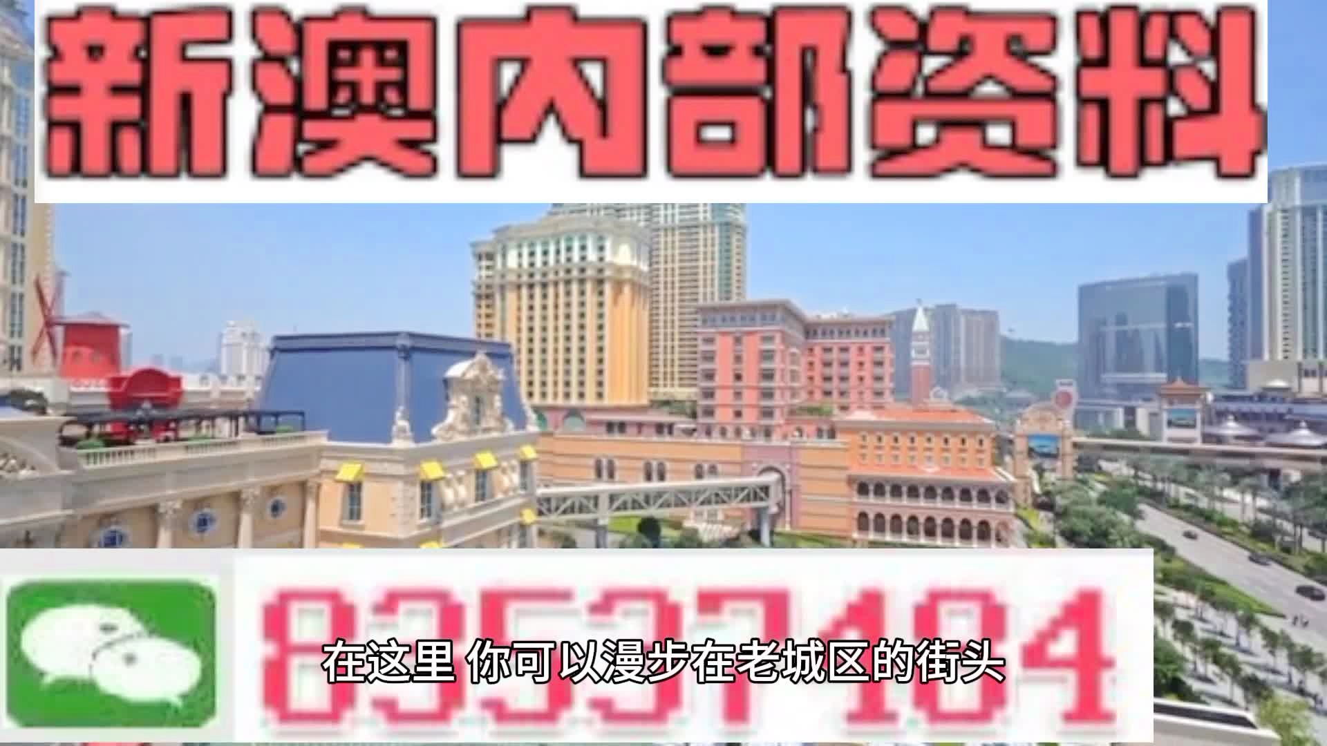 新澳門期期準精準，探索澳門的未來與SEO策略，澳門未來展望與SEO策略探索，精準瞄準新機遇
