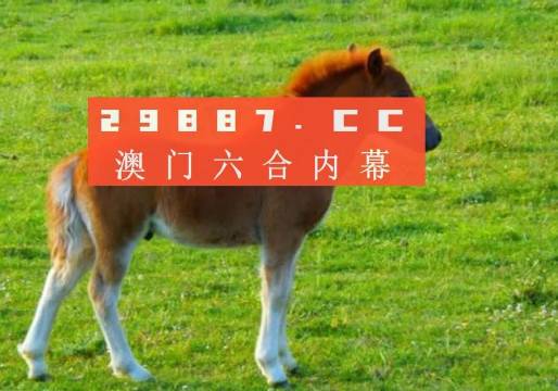 澳門答家婆一肖一馬一中一特，揭秘背后的秘密與獨特文化魅力，澳門文化魅力深度解析，答家婆一肖一馬一中一特的獨特傳統(tǒng)與秘密