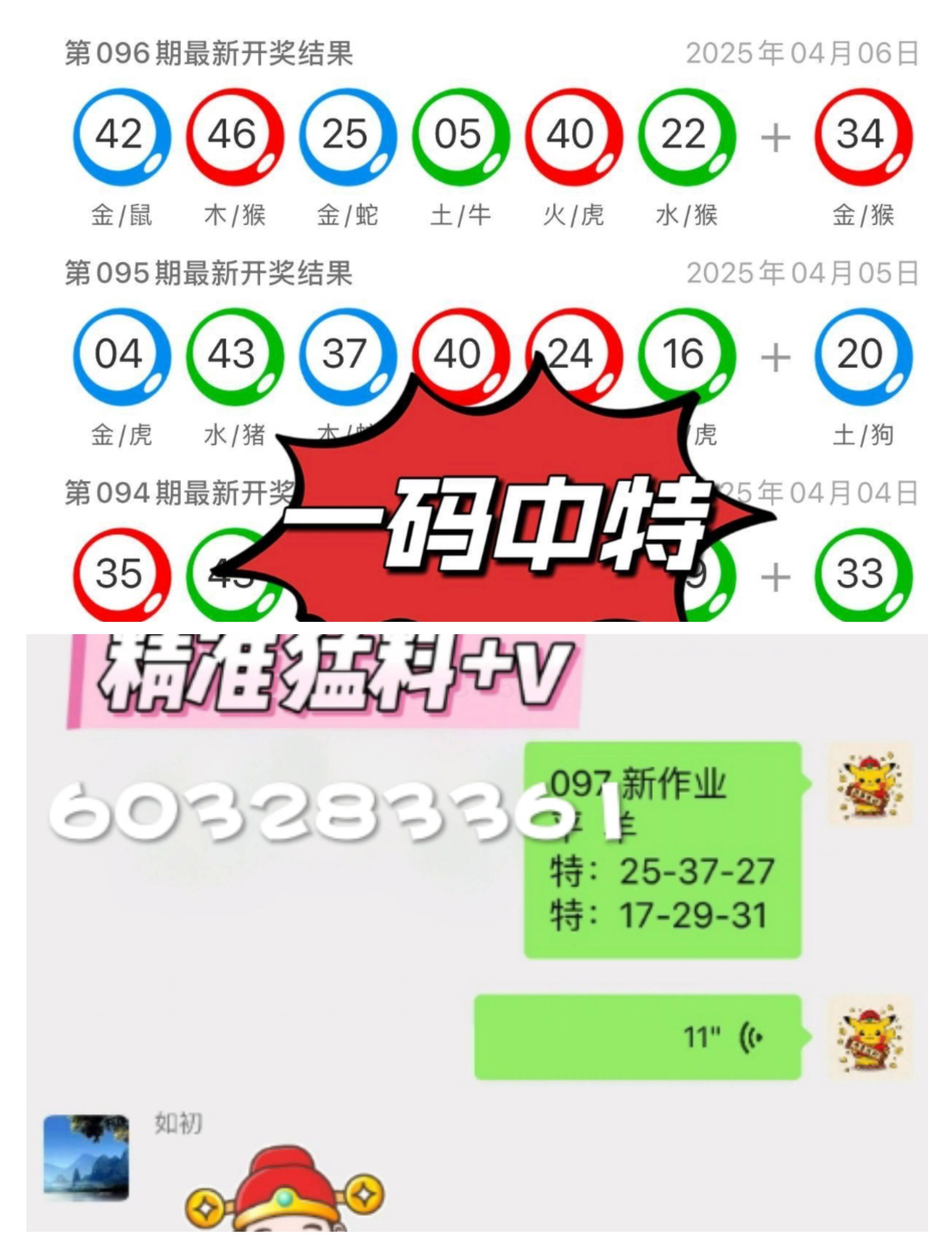 澳門一肖一碼中的奧秘與探索，澳門一肖一碼中的奧秘揭秘與探索之旅