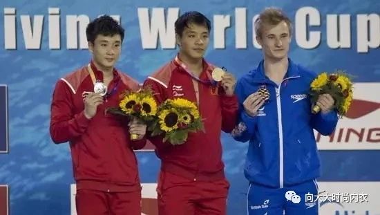 劉百溫一肖王中王，傳奇人物與SEO的奇妙結合，傳奇人物劉百溫與SEO的交融，一肖王中王的奇妙故事