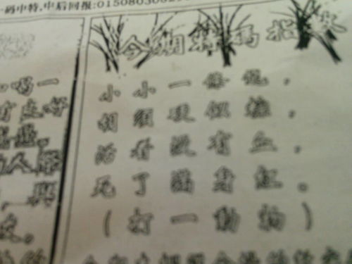 劉伯溫特一肖王中王，傳奇人物與生肖之王的神秘結(jié)合，劉伯溫生肖傳奇，傳奇人物與生肖之王的神秘交融