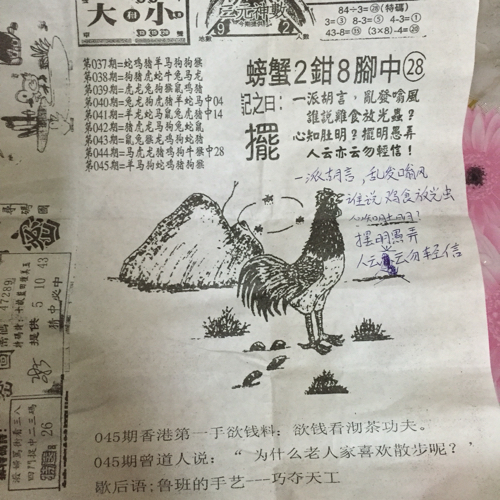 揭秘林中的高手王中王猜一肖的奧秘，揭秘林中之王王中王與生肖奧秘探秘
