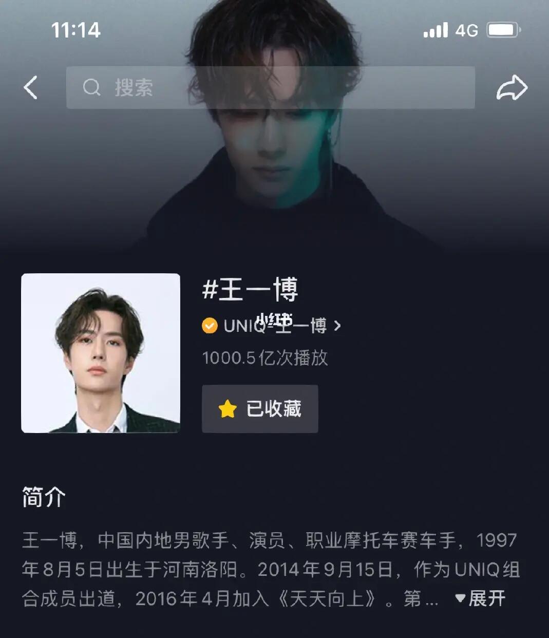 王中王一肖內(nèi)部資料詳解，王中王一肖內(nèi)部資料深度解析