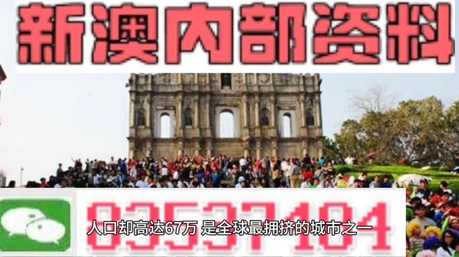 新澳門正版免費資料怎么查