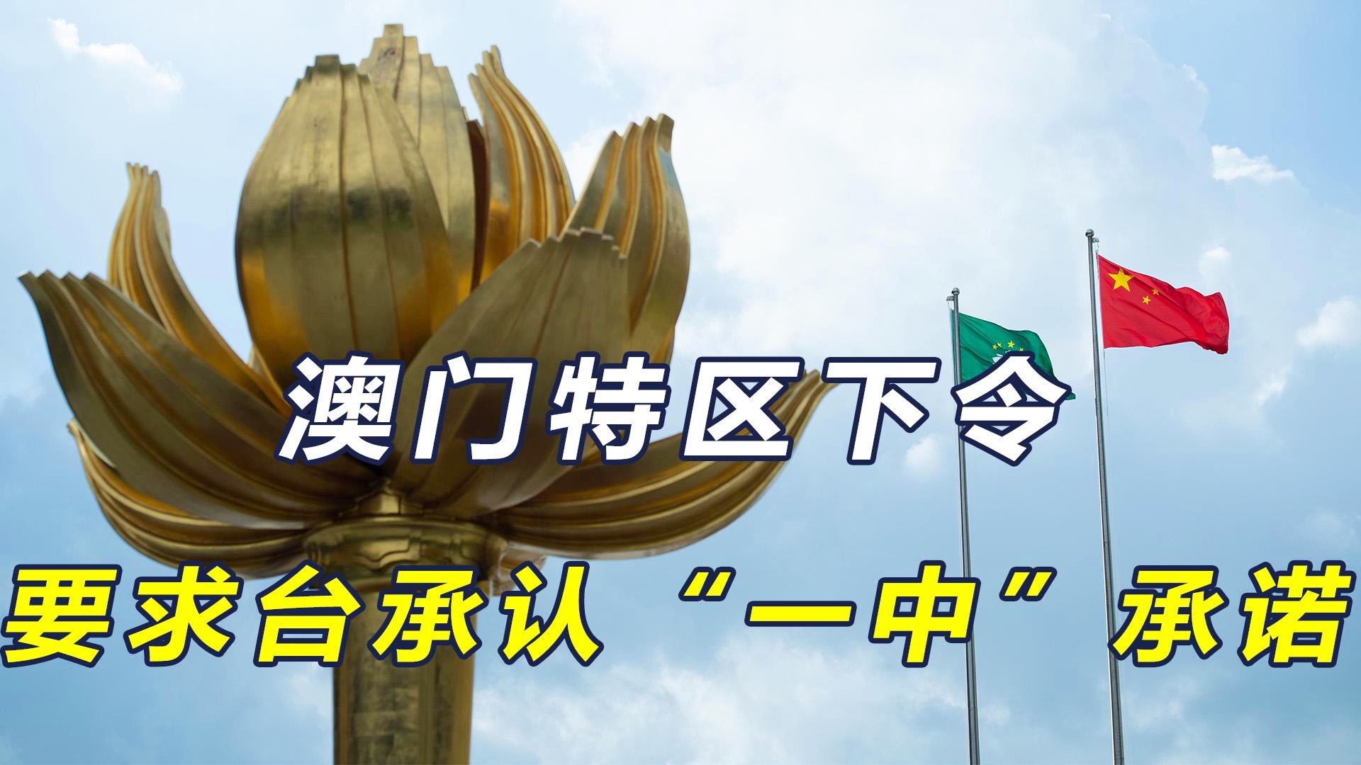 新澳門(mén)一碼一肖一特一中準(zhǔn)選今晚之秘與博彩文化深度解析，澳門(mén)博彩文化深度解析，今晚一碼一肖一特一中準(zhǔn)選的秘密