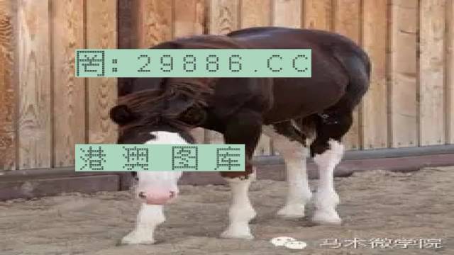 揭秘446999一肖中特馬之秘密，掌握中獎玄機！，揭秘特馬中獎玄機，446999一肖中的秘密大揭秘！