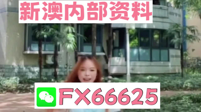 香港內(nèi)部精準(zhǔn)資料一碼，揭秘與深度解析，香港內(nèi)部精準(zhǔn)資料一碼揭秘與深度剖析