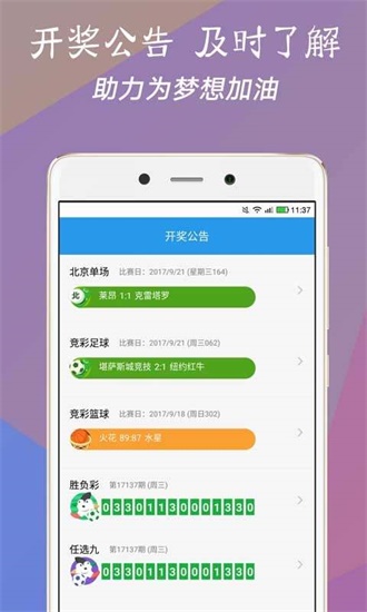 澳門今一必中一肖一碼一肖，揭秘彩票背后的秘密與策略，揭秘彩票背后的秘密與策略，澳門今一必中一肖一碼一肖探秘