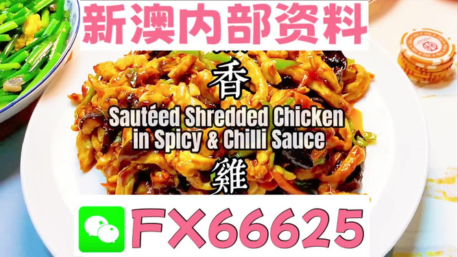 新奧天天精準(zhǔn)資料大全，全方位解讀與應(yīng)用指南，新奧天天精準(zhǔn)資料大全，全方位解讀與應(yīng)用指南手冊(cè)