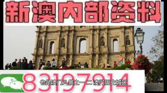 今晚澳門買什么最好？全方位解讀帶你走向勝利之路，澳門今晚買什么最佳？全方位指南引領(lǐng)你走向勝利之路
