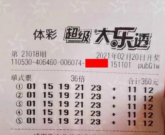 王中王018期指一生肖，揭秘背后的奧秘與意義，揭秘生肖奧秘，王中王生肖背后的意義與秘密