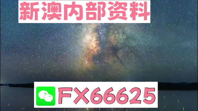 新澳天天開獎資料大全最新版，全面解析與最新資訊，新澳天天開獎資料大全最新版，全面解析及最新資訊匯總