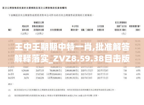 王中王一肖石準(zhǔn)，探索關(guān)鍵詞背后的故事，王中王一肖石準(zhǔn)背后的故事探索