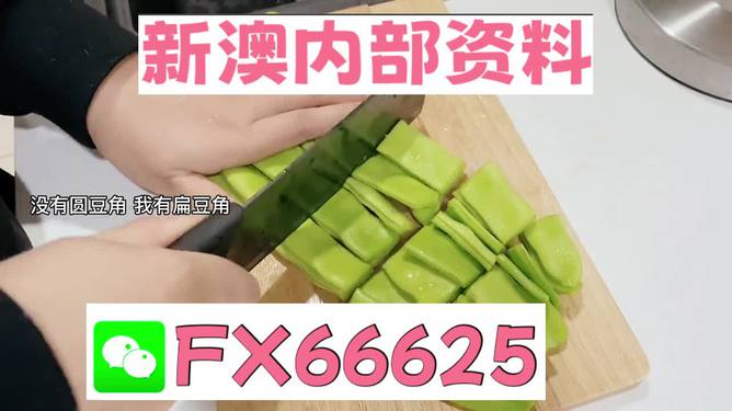 新澳精選資料免費(fèi)提供，探索優(yōu)質(zhì)資源的海洋，新澳精選資料免費(fèi)探索，優(yōu)質(zhì)資源海洋的開啟