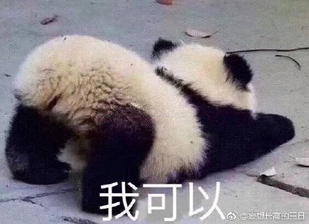 澳門(mén)四不像正版四不像網(wǎng)，探索真實(shí)與虛幻的交融之地，澳門(mén)四不像正版探索，真實(shí)與虛幻的交融世界