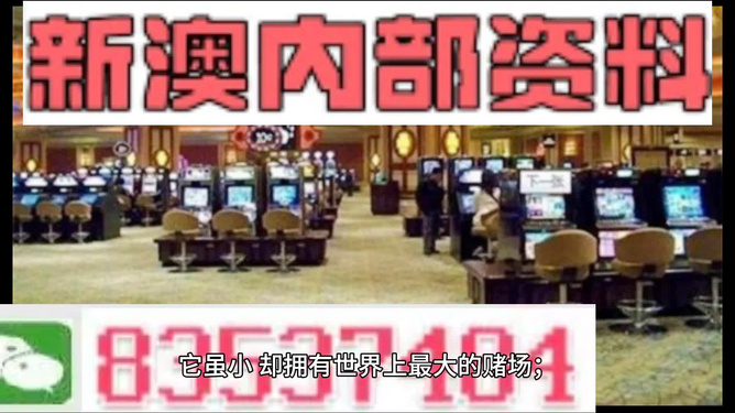 新澳門最精準——探索澳門的精準旅游魅力，澳門精準旅游魅力探索之旅