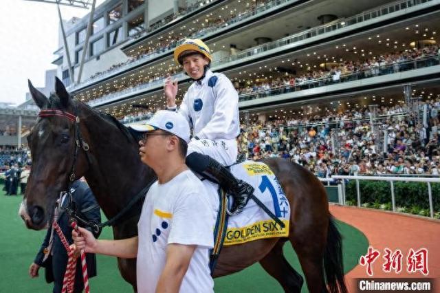 香港特馬王資料免費公開，揭秘背后的秘密，香港特馬王資料揭秘，免費公開背后的秘密