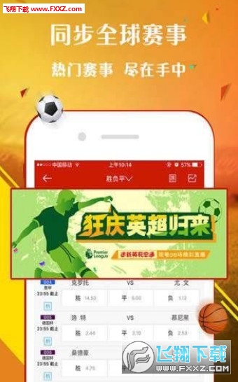 王中王一肖，探尋背后的故事與影響力（2019年），王中王一肖，背后的故事與影響力揭秘（2019年）